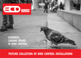 Ecobirds® - N° 1 nel controllo dei piccioni e dei volatili molesti